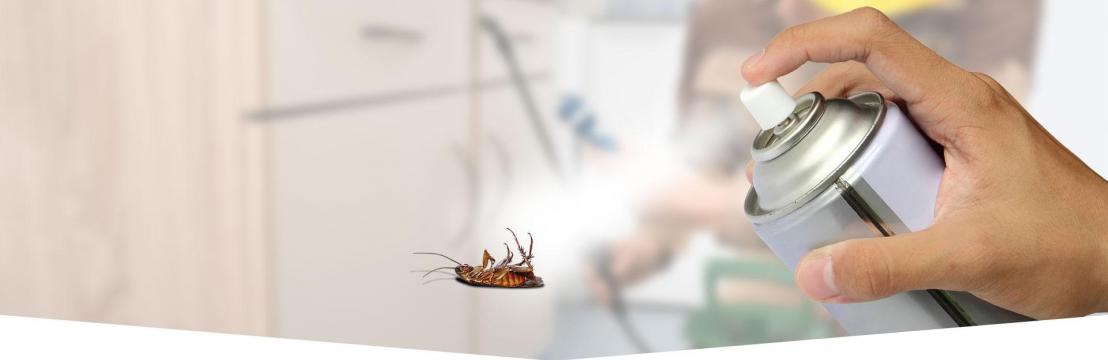 QUALITY PEST MANAGEMENT AND SOLUTIONS