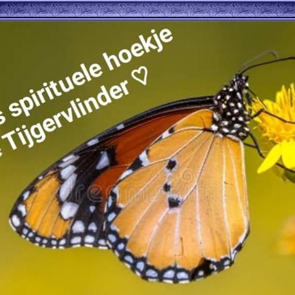 Spiritueel hoekje "de tijgervlinder"