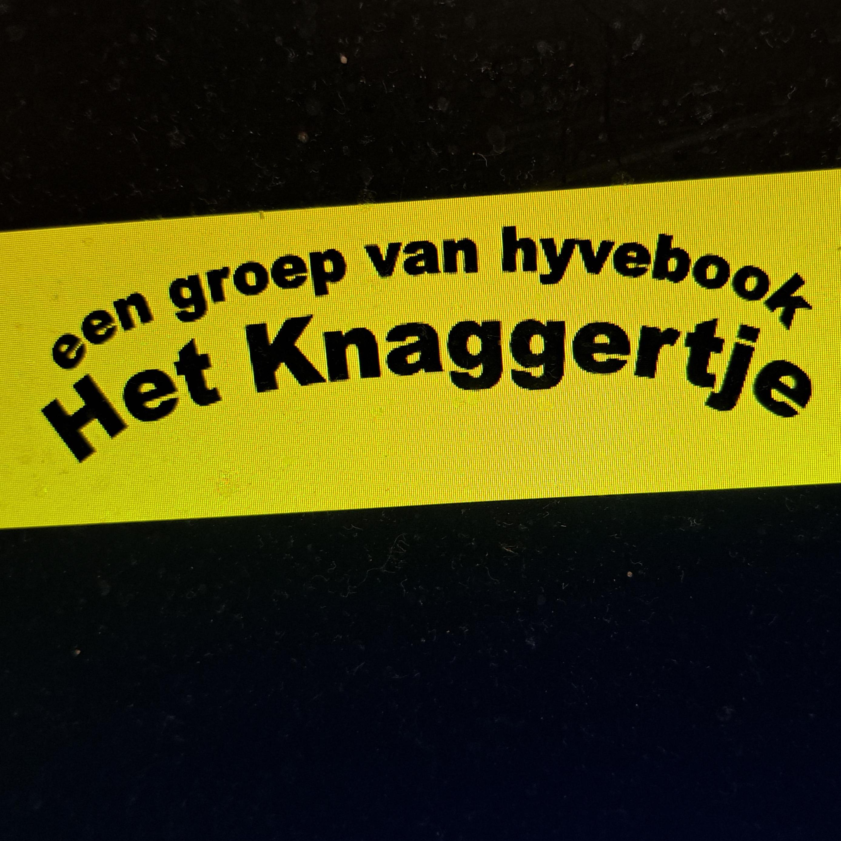 Het knaggertje